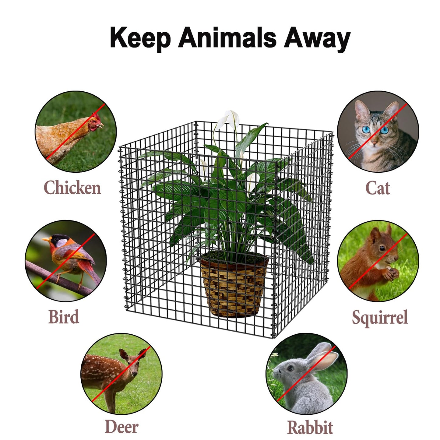 PREMILITY (4 Packs) Wire Plant Protector, 14.8" L x 14.8" W x 15.7" H Plant Protectors from Animals