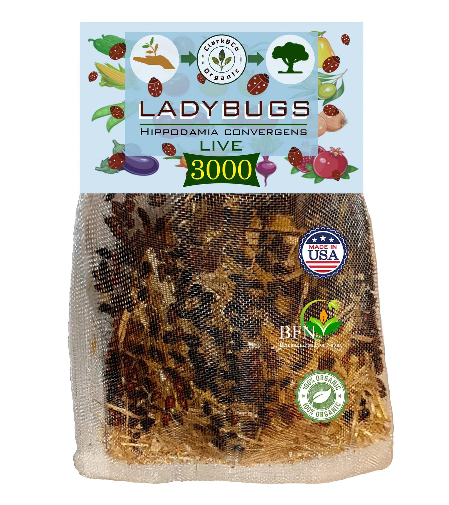 Clark&Co Organic 3000 Live Ladybugs Insects -