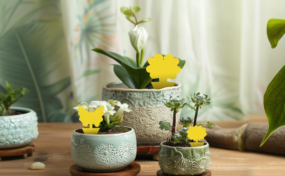 36 Pcs Classic Sticky Traps for Fungus Gnat (Plants), Fruit Fly, Whitefly, and Fly, Yellow Sticky Insect Catcher Traps for Indoor/Outdoor