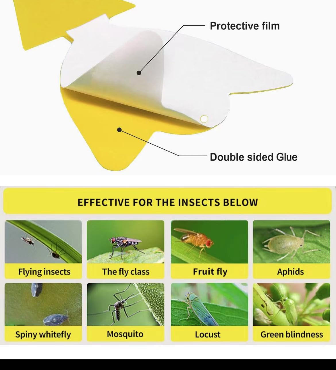 36 Pcs Classic Sticky Traps for Fungus Gnat (Plants), Fruit Fly, Whitefly, and Fly, Yellow Sticky Insect Catcher Traps for Indoor/Outdoor