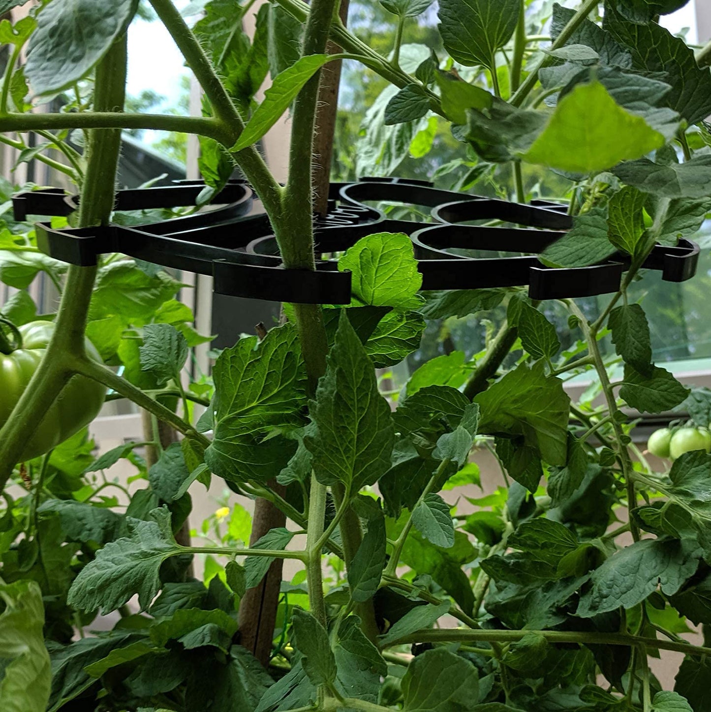 Mighty Crop Plant Support for vertical gardening, Pack of 4